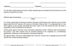 FREE 12 Lease Termination Agreement Templates In PDF MS Word