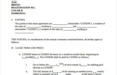 FREE 7 Sample Horse Lease Agreement Templates In MS Word PDF