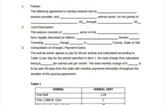 FREE 8 Sample Pasture Lease Agreement Templates In PDF MS Word