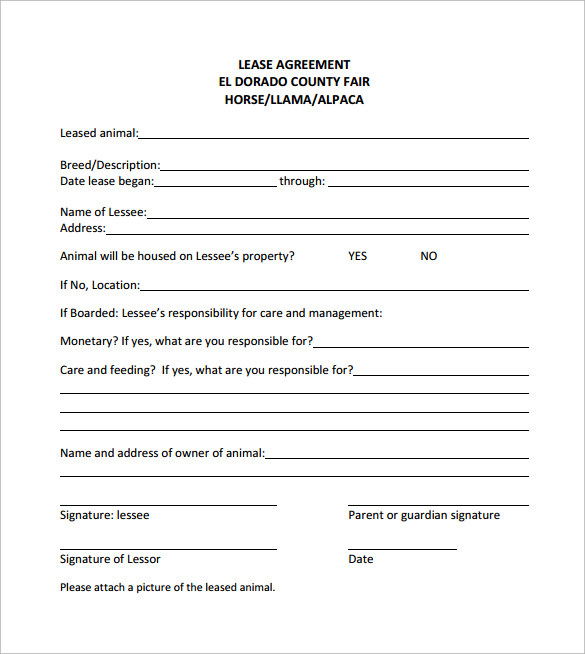FREE 9 Sample Horse Lease Agreement Templates In PDF MS Word